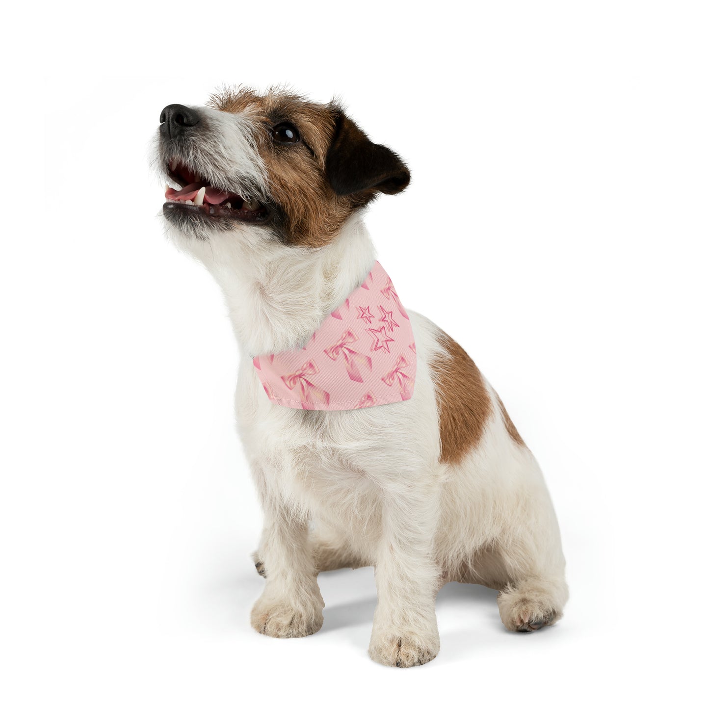 “ I’m Just A Girl “ Pet Bandana Collar