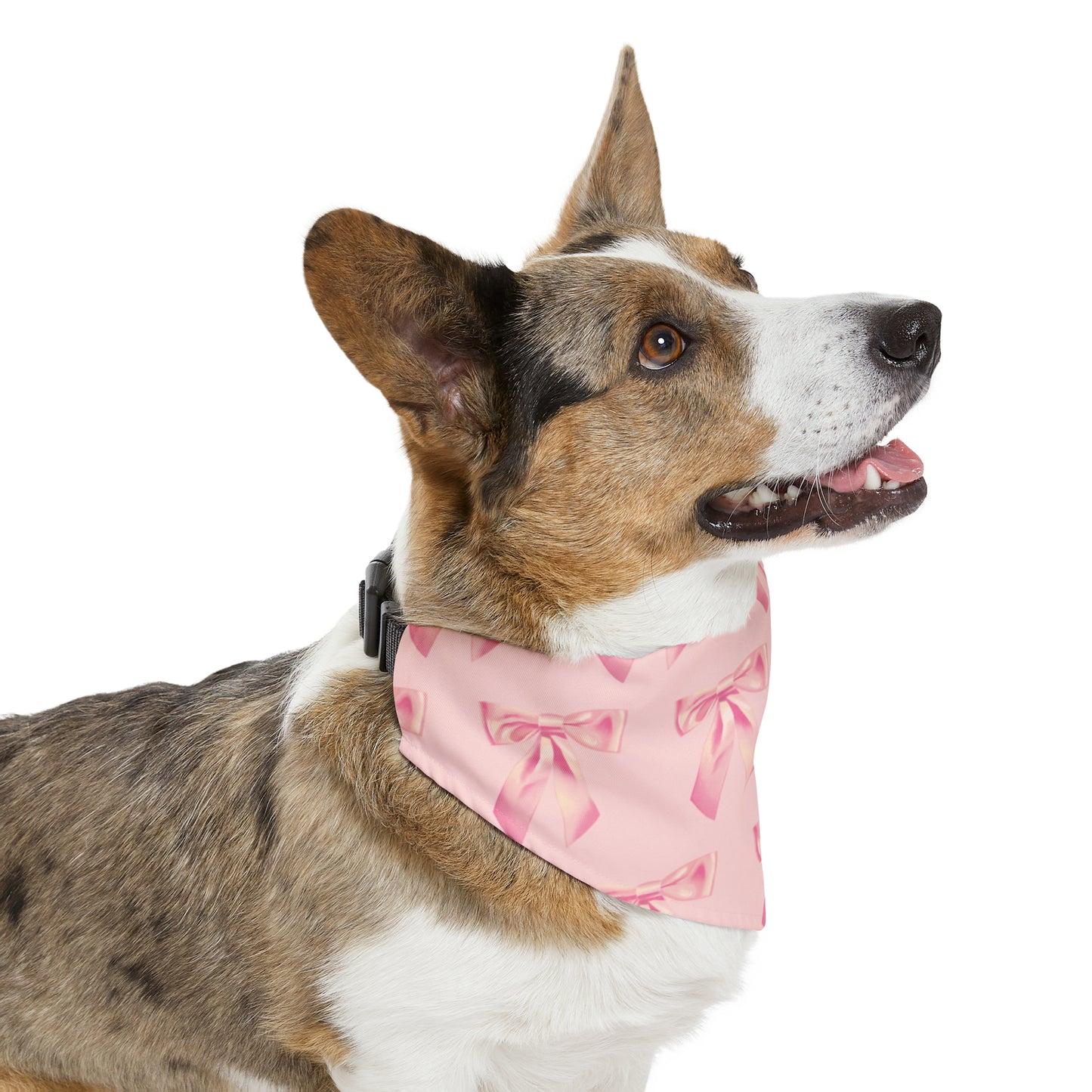 “ I’m Just A Girl “ Pet Bandana Collar