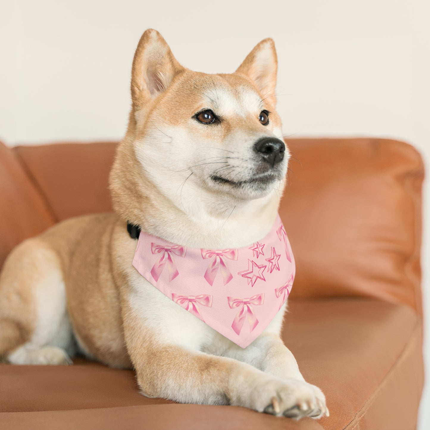 “ I’m Just A Girl “ Pet Bandana Collar