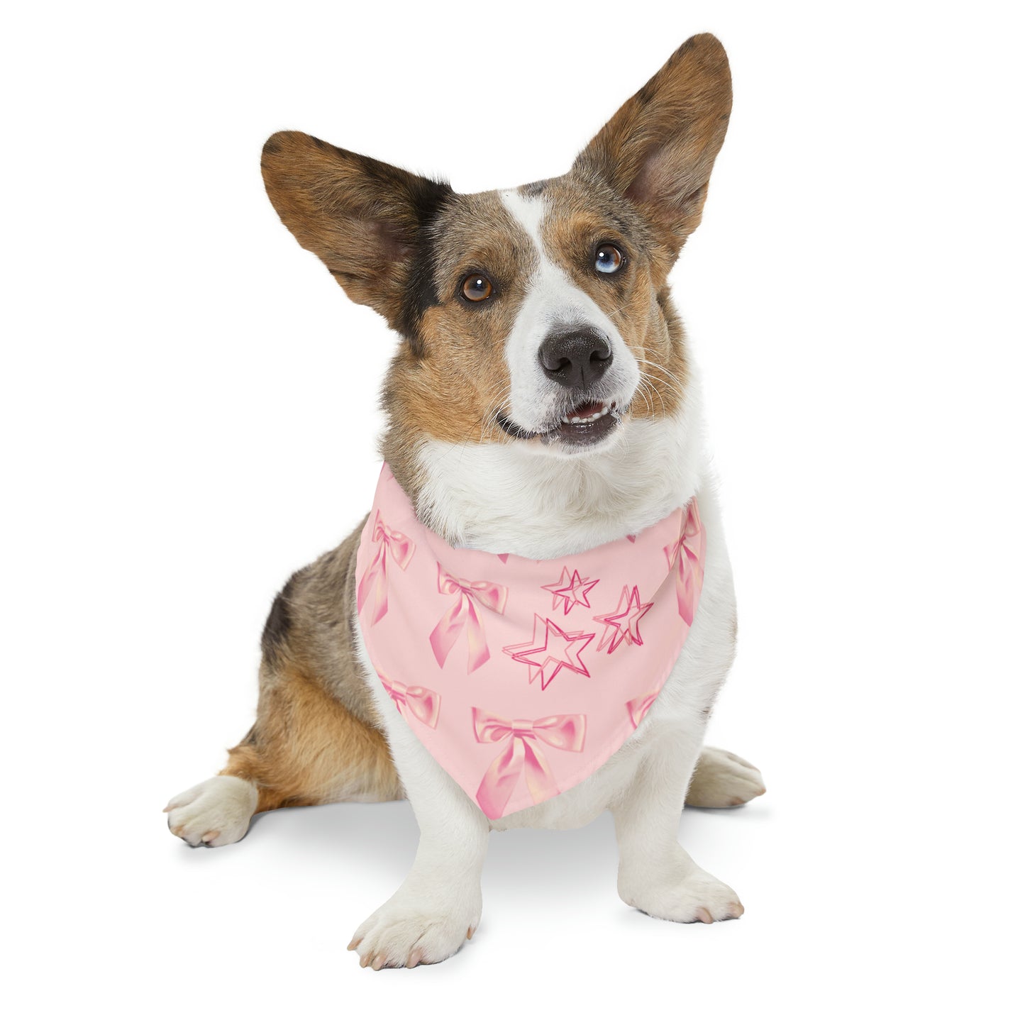 “ I’m Just A Girl “ Pet Bandana Collar