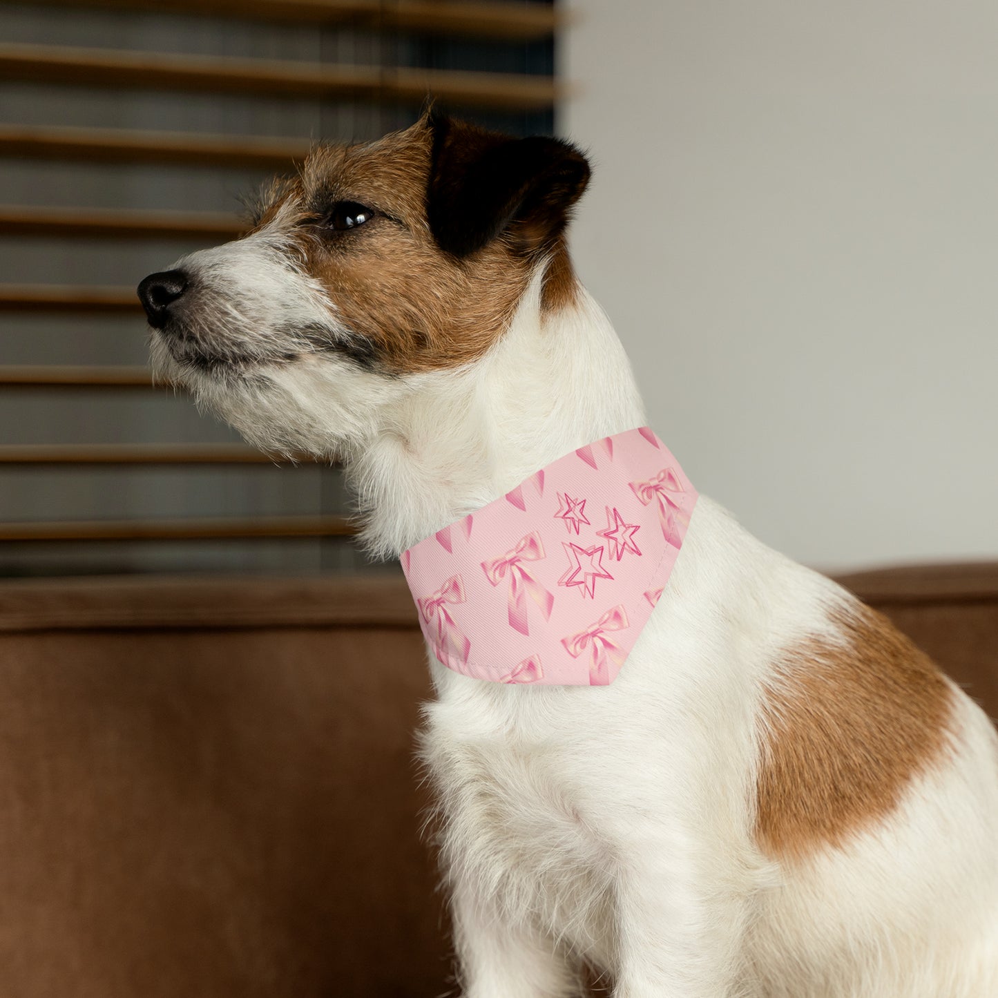 “ I’m Just A Girl “ Pet Bandana Collar